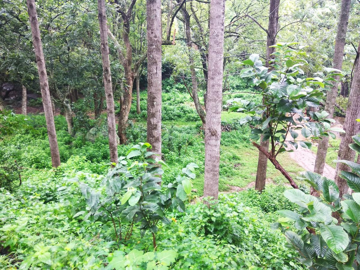 Secret Valley Jungle Resort Udagamandalam Exterior foto