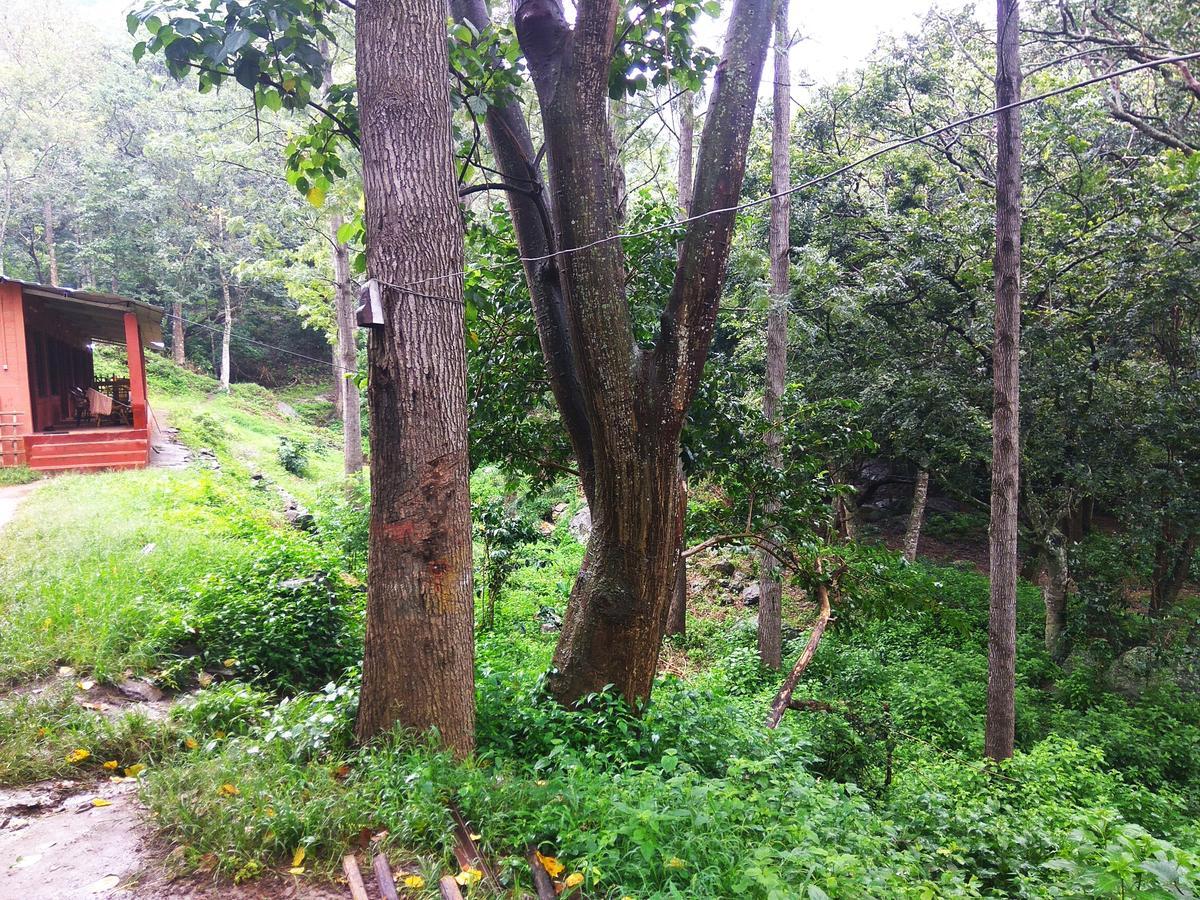 Secret Valley Jungle Resort Udagamandalam Exterior foto
