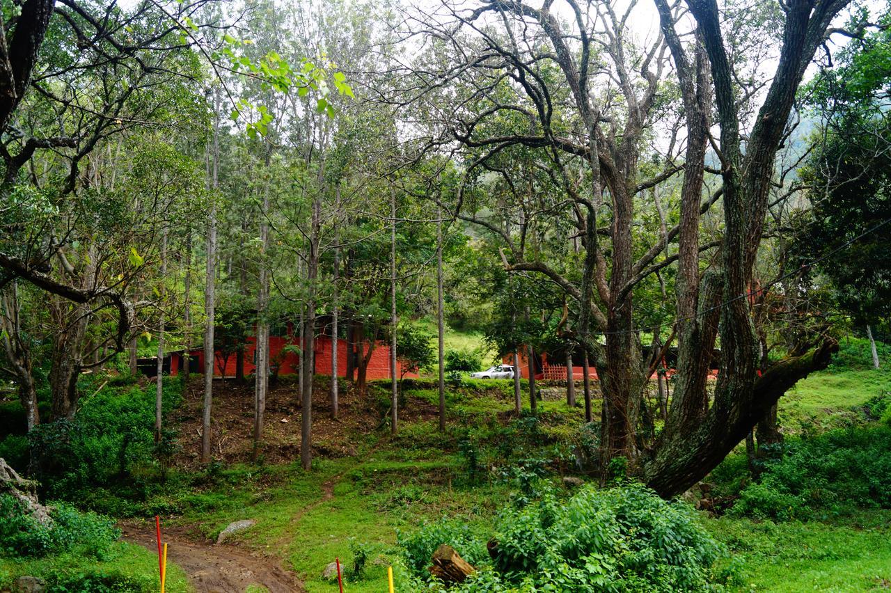 Secret Valley Jungle Resort Udagamandalam Exterior foto